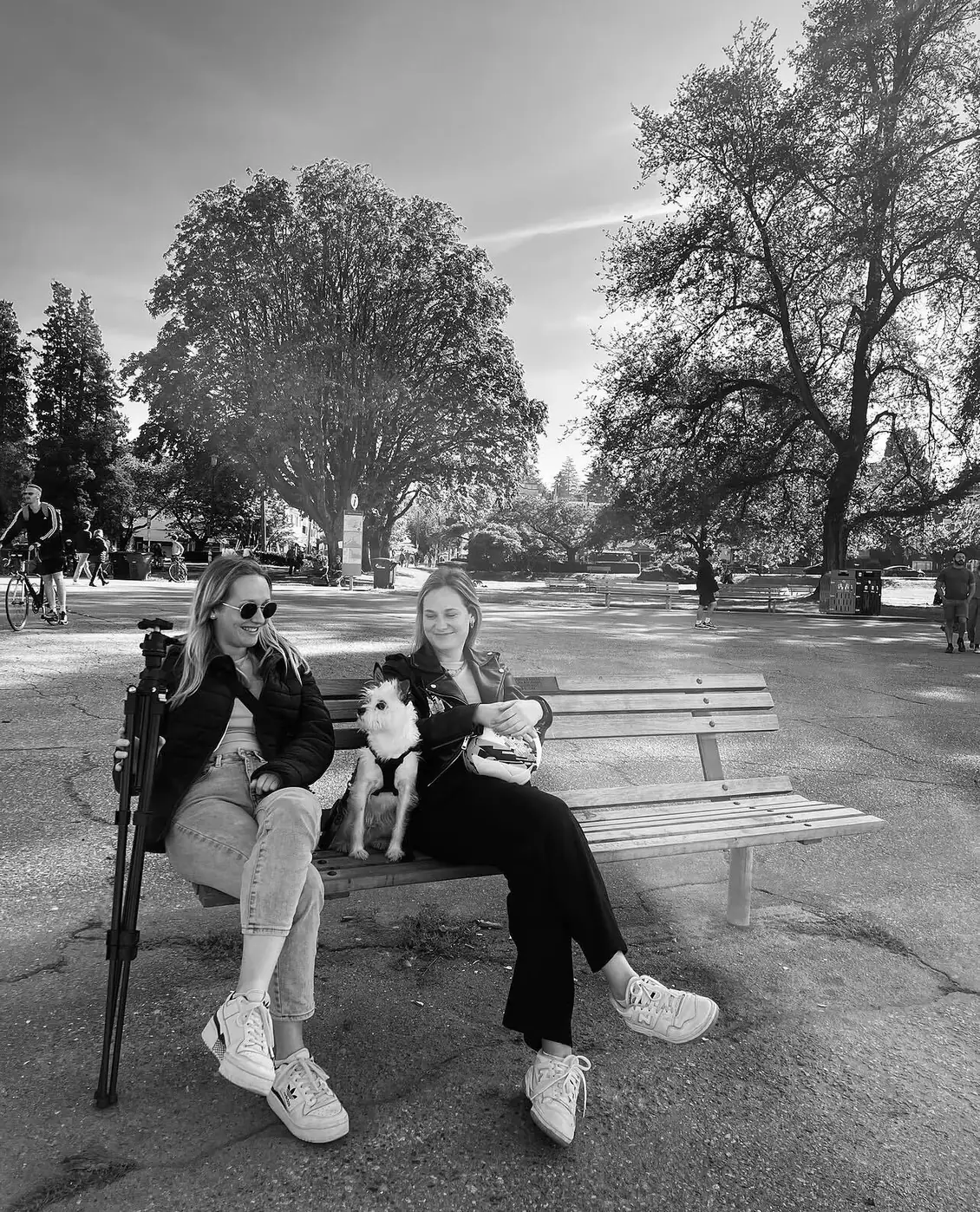 A park bench break with a small dog and a tripod